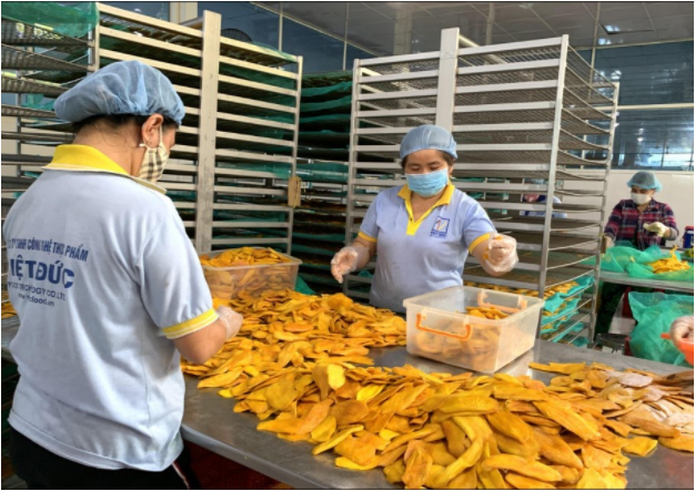 Hồ sơ xin giấy phép an toàn thực phẩm cho cơ sở sản xuất trái cây sấy