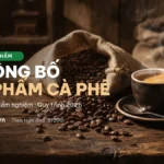 Công bố cà phê 2026: hồ sơ tự công bố, chỉ tiêu kiểm nghiệm