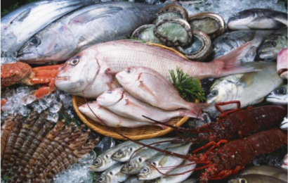 Quá trình kiểm thịt cá an toàn cho người dùng