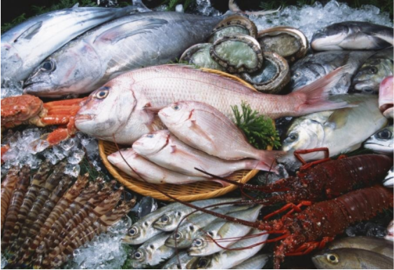 Hồ sơ kiểm nghiệm thịt cá