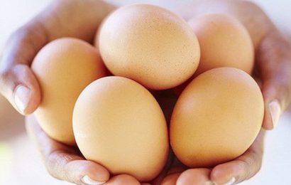 Kiểm nghiệm trứng là gì? Tầm quan trọng của việc kiểm nghiệm
