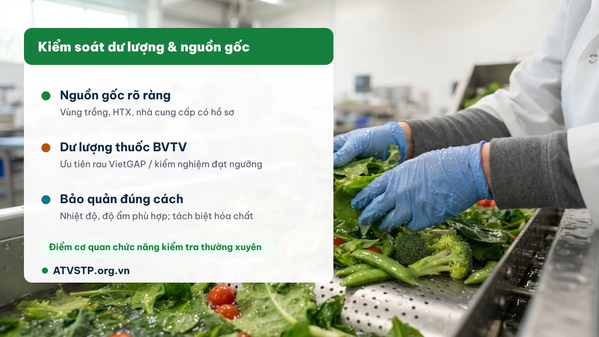 Kiểm soát dư lượng thuốc bảo vệ thực vật và nguồn gốc rau củ quả