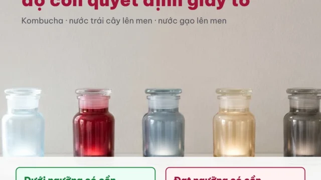 Giấy phép an toàn thực phẩm cho cơ sở sản xuất nước lên men: điều kiện, hồ sơ